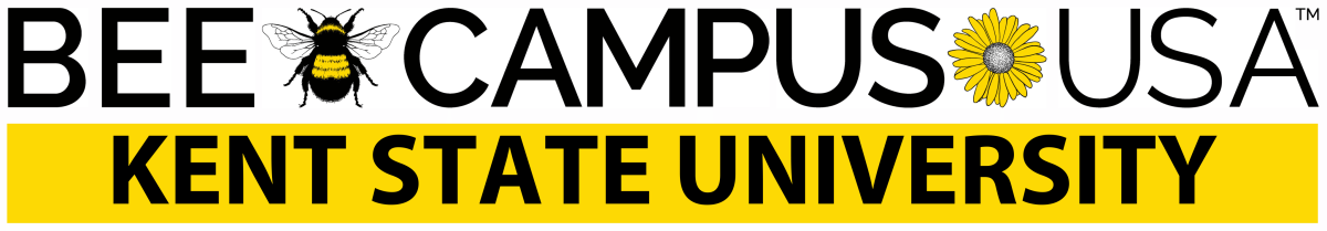 ����ֱ�� state bee campus usa logo