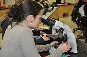 Zooming in on tissue samples.