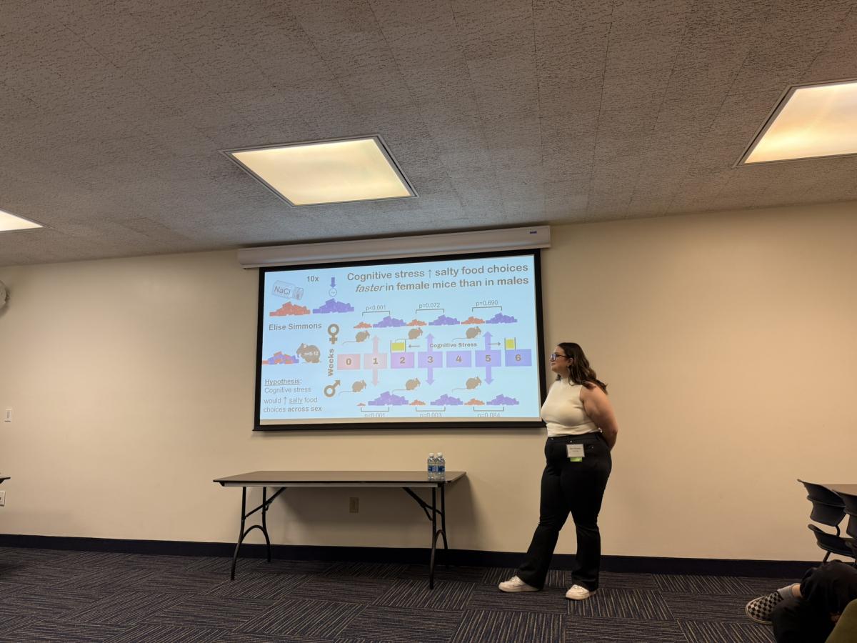 Participants in the Summer Undergraduate Research Experience competition presented their research Oct. 13-14, 2025.