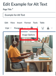 A screenshot of the Canvas text editor within a page labeled "Edit Example for Alt Text." An image of a person working at a desk is embedded in the editor. A tooltip labeled "Image Options" appears above the photo, indicating the interface element used to access image settings and accessibility features.