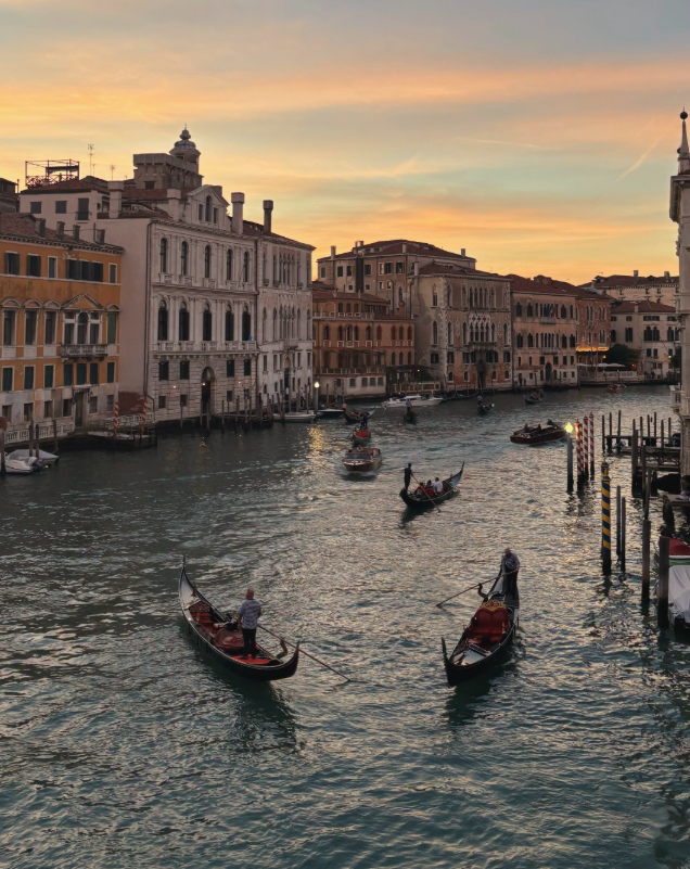 Winner: Cultural Connections by Eva Heald in Venice.