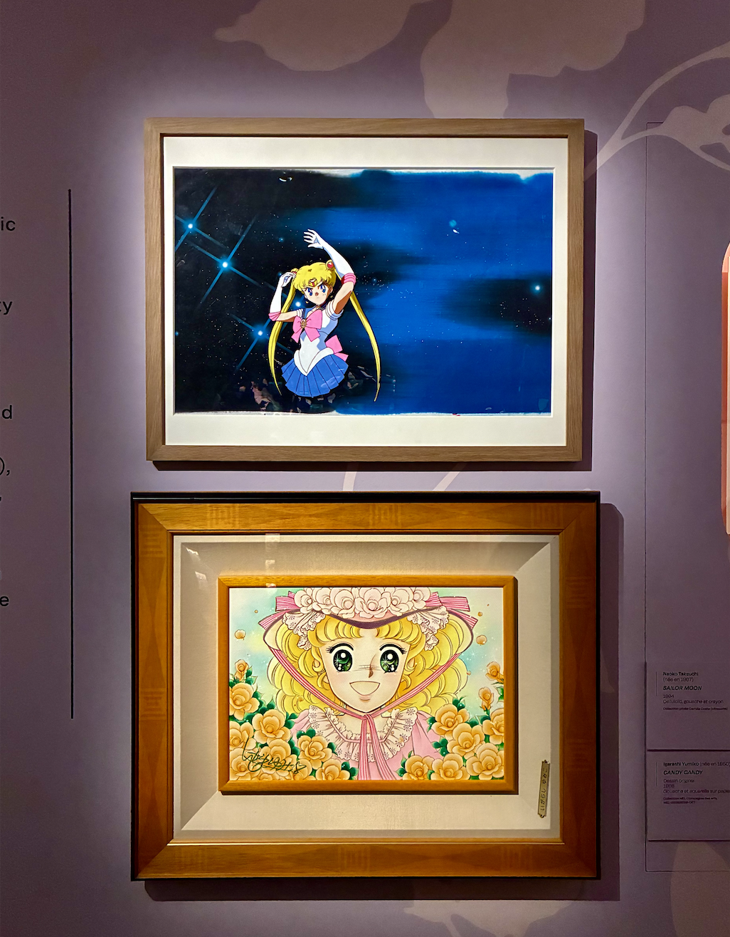 Pieces from the manga exhibit.