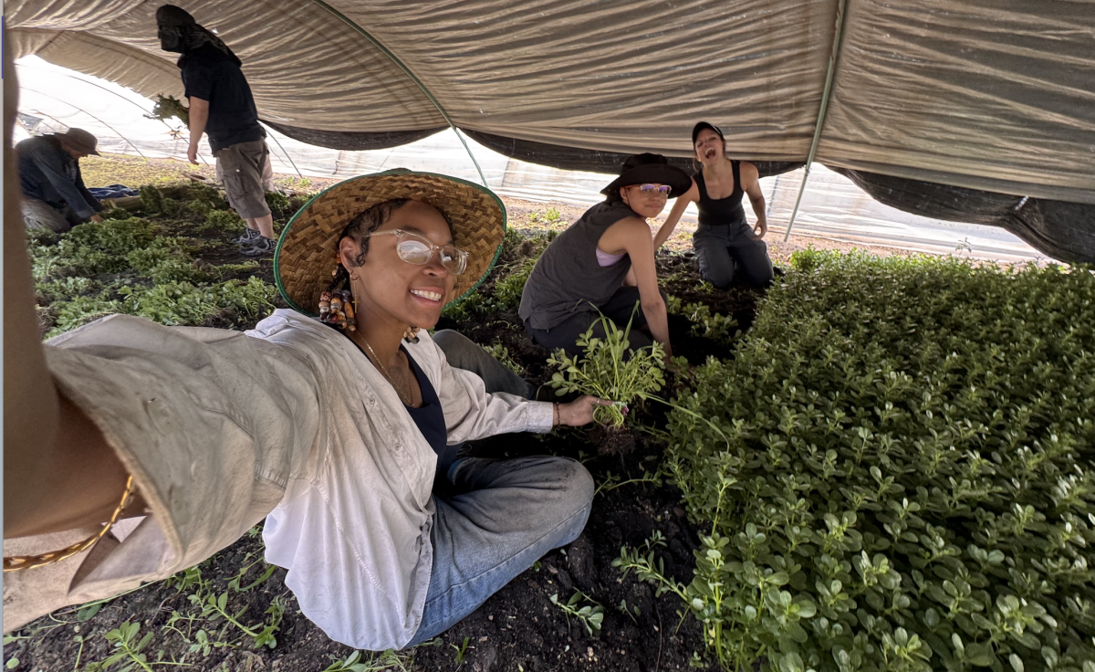 Dae'onii, another student, and her professor among the plants on a chinampa.