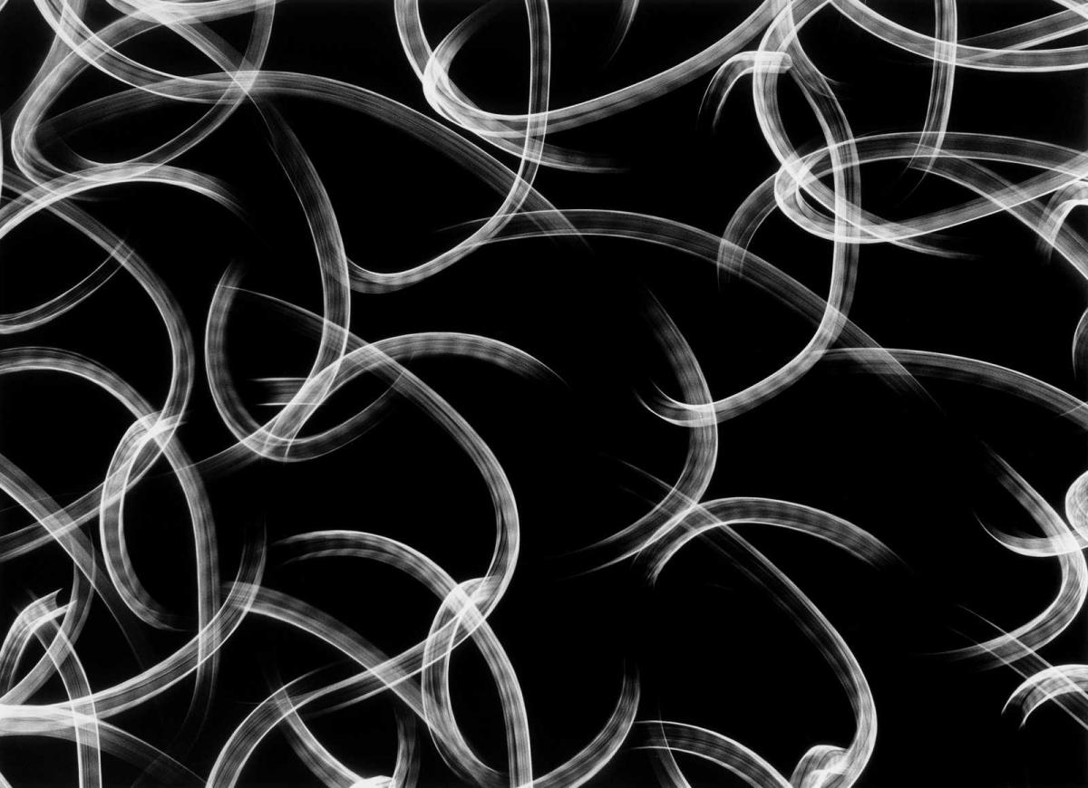 Tom Reaume, light-dance-no2 Tom Reaume, light-dance-no2