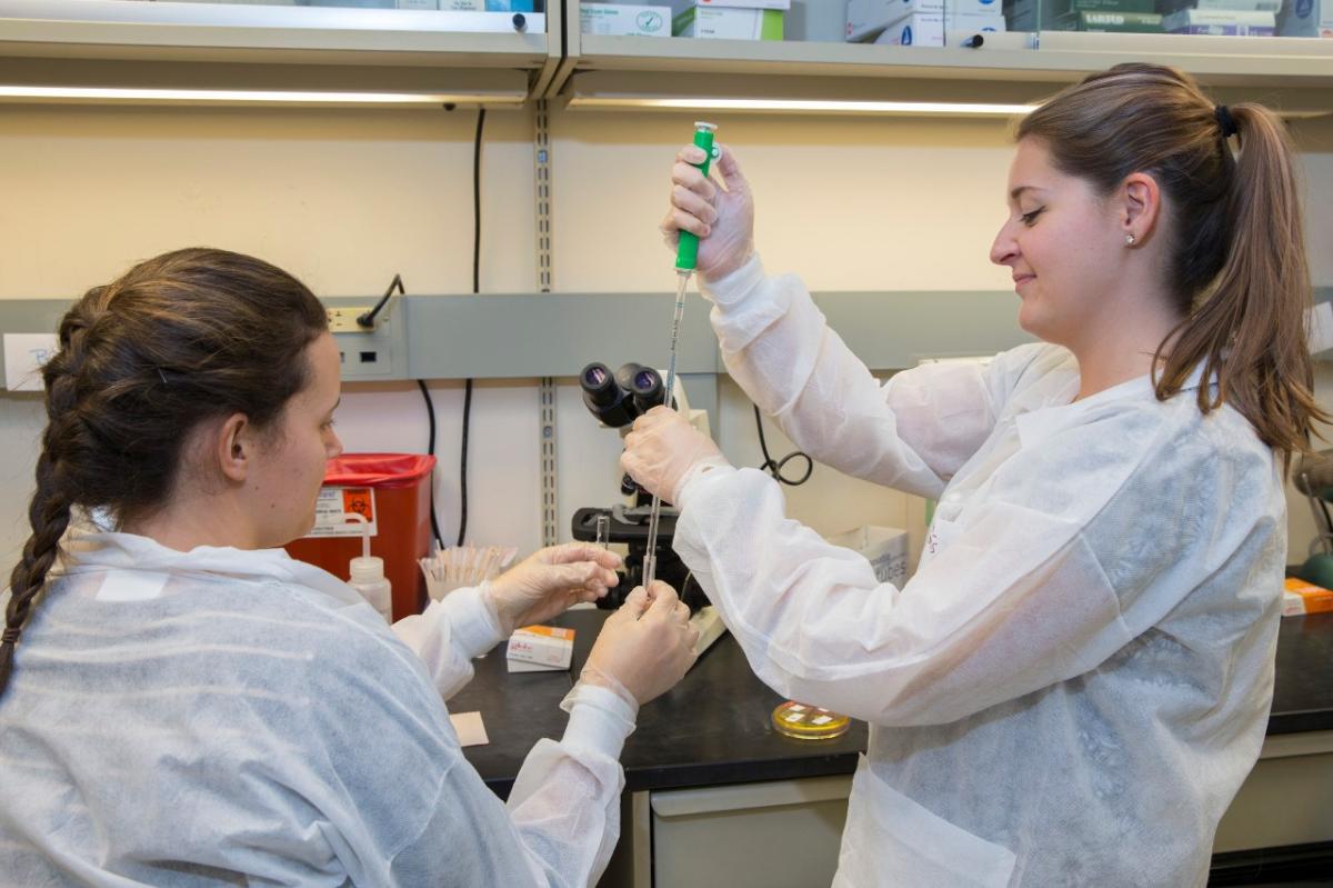 Researchers at the Univeristy of Cincinnati will partner with ֱ State on this grant