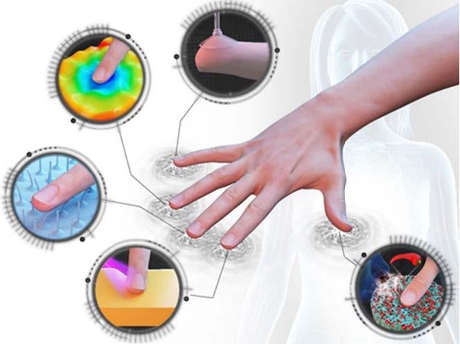 Schematic representation shows the haptic functions; credit: D. Liu