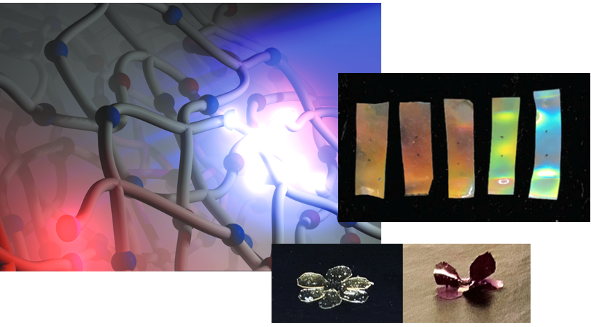image of research