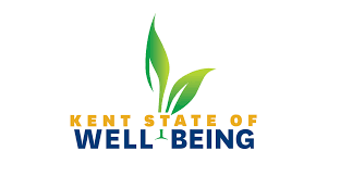 ����ɫ��ҹ of Well-Being Graphic.