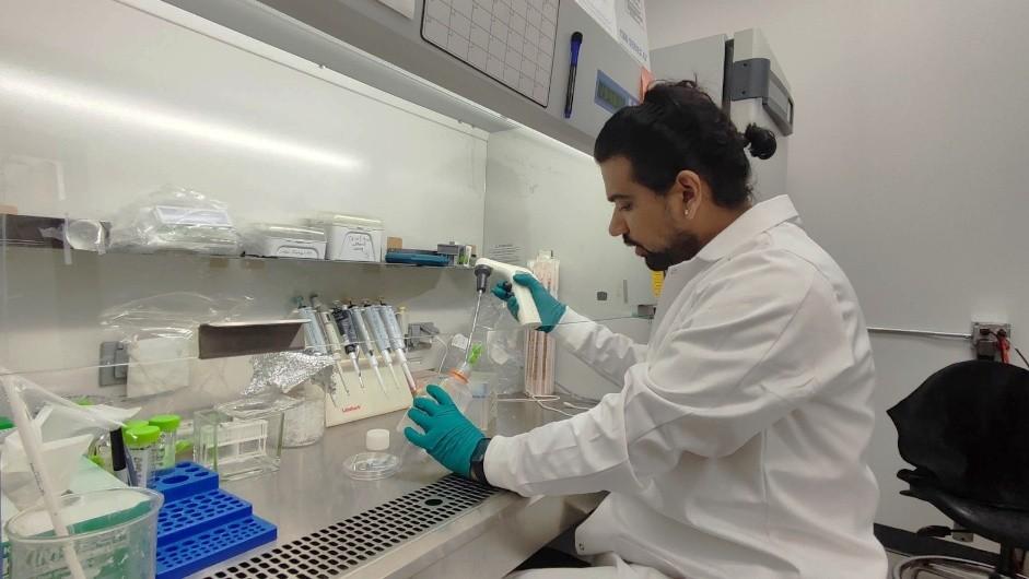 Doctoral student Grinsun Sharma prepares mammalian cells for mechanobiology experiments