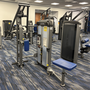 Row rear delt machine