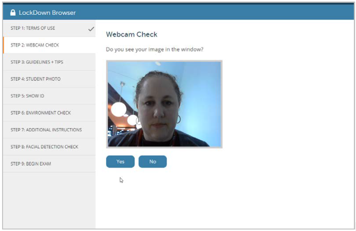 Screenshot of the webcam check