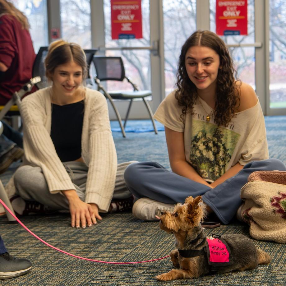 Two students sitting on the floor next to a small therapy dog wearing a vest that reads "Willow, Therapy Dog"