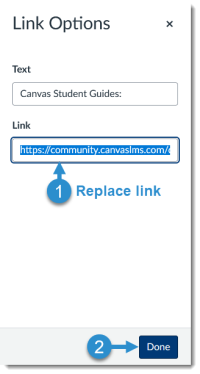 Canvas Page: Link Options panel