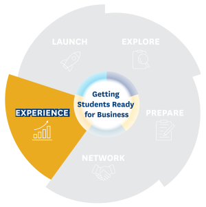 experience piece of career pie chart