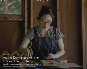 Aimee Lee New York Times Article