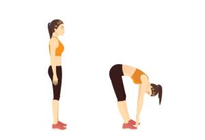 Cartoon depicting a woman standing, then bending down to touch her toes.