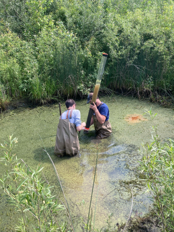 Two men, in waders, are standing waist-deep in a wetland pool, holding an approximately yard-long cylinder with which they are coring. 