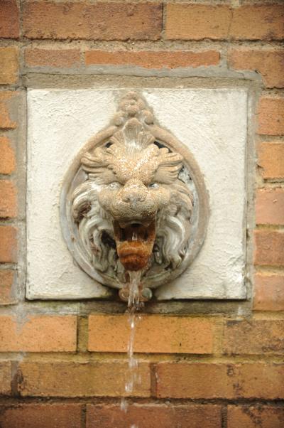 Lion Fountain near Engleman Hall.