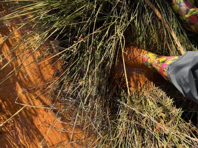 foot in orange water