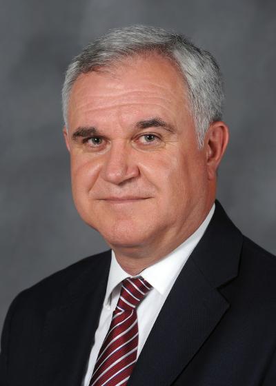 Vice President for Global Education Marcello Fantoni 