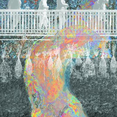 Riverfront Stitch project remediation collage