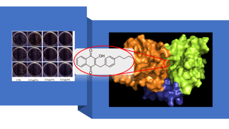Development of novel nanoparticles to target the vulnerability of iron metabolism