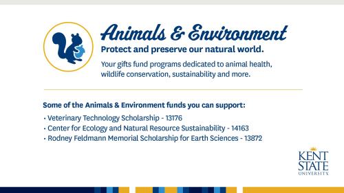 Animals & Environment
