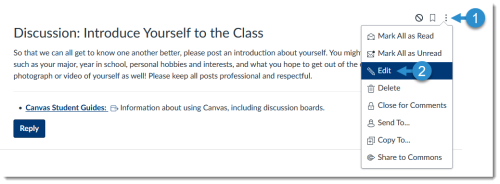 Canvas Discussion: Edit button