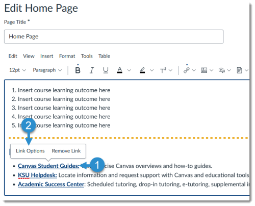Canvas Page: Edit Link Options