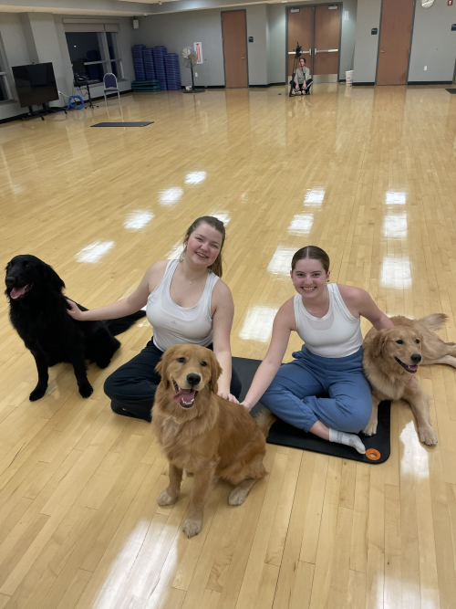 Ella and a friend sit on the floor with two Golden Retrievers and a Black Lab.