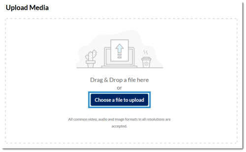 Kaltura Upload Media page: Choose a file to upload button