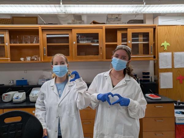lab