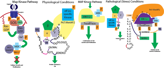 Datta research graphic