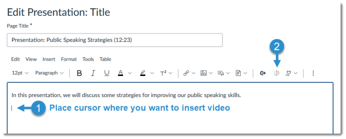 Canvas Rich Content Editor: Embed Kaltura Media icon