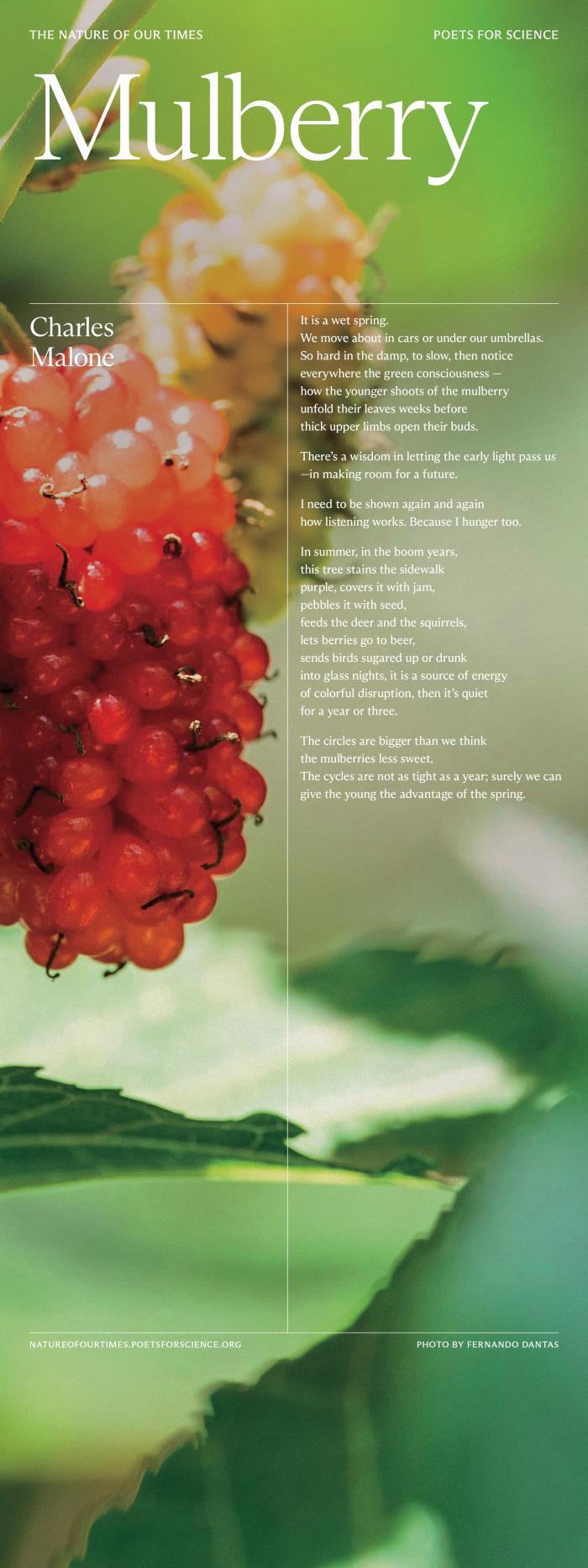 A panel from the Poets for Science's "The Nature of Our Times" exhibit.