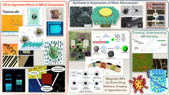 Torsten Hegmann - research image