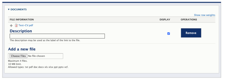 Screenshot of the Document upload section in Drupal.