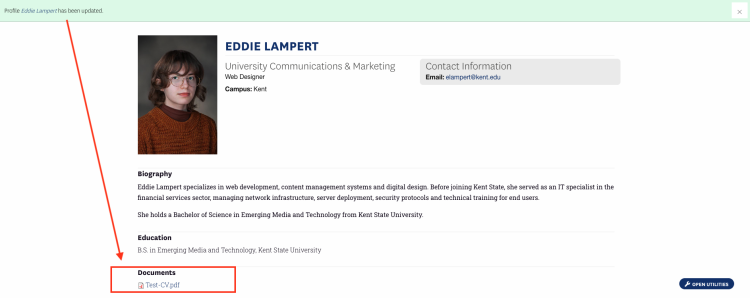 Screenshot of a successfully uploaded profile, showing a callout to the green bar at the top and CV at the bottom.