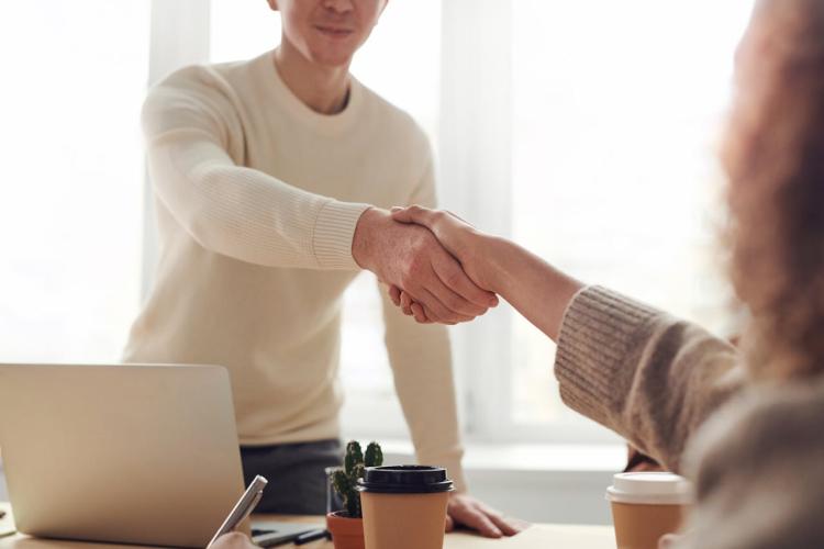 translation entrepreneurships