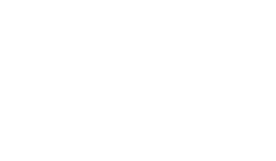 Vienna Independent Film Festival Award