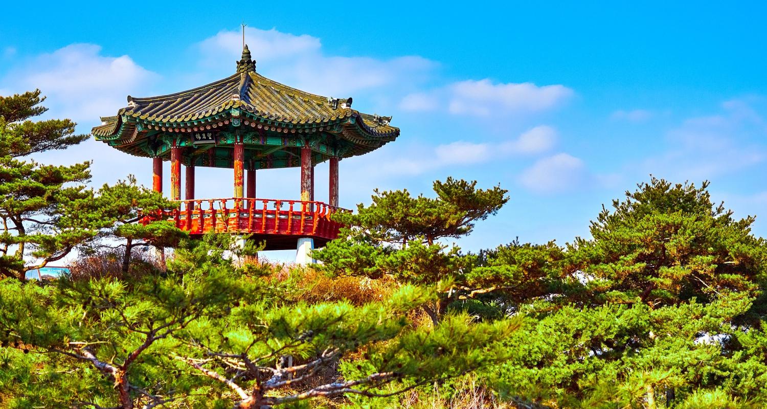 Temple in South Korea, trees, and vibrant colors.