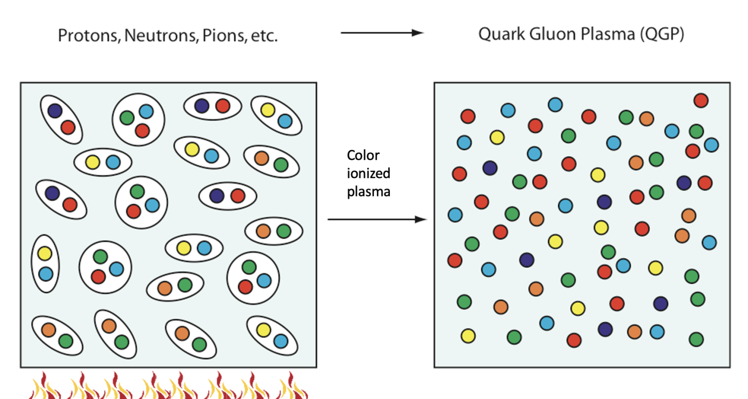 quark gluon plasma phase quark gluon plasma phase