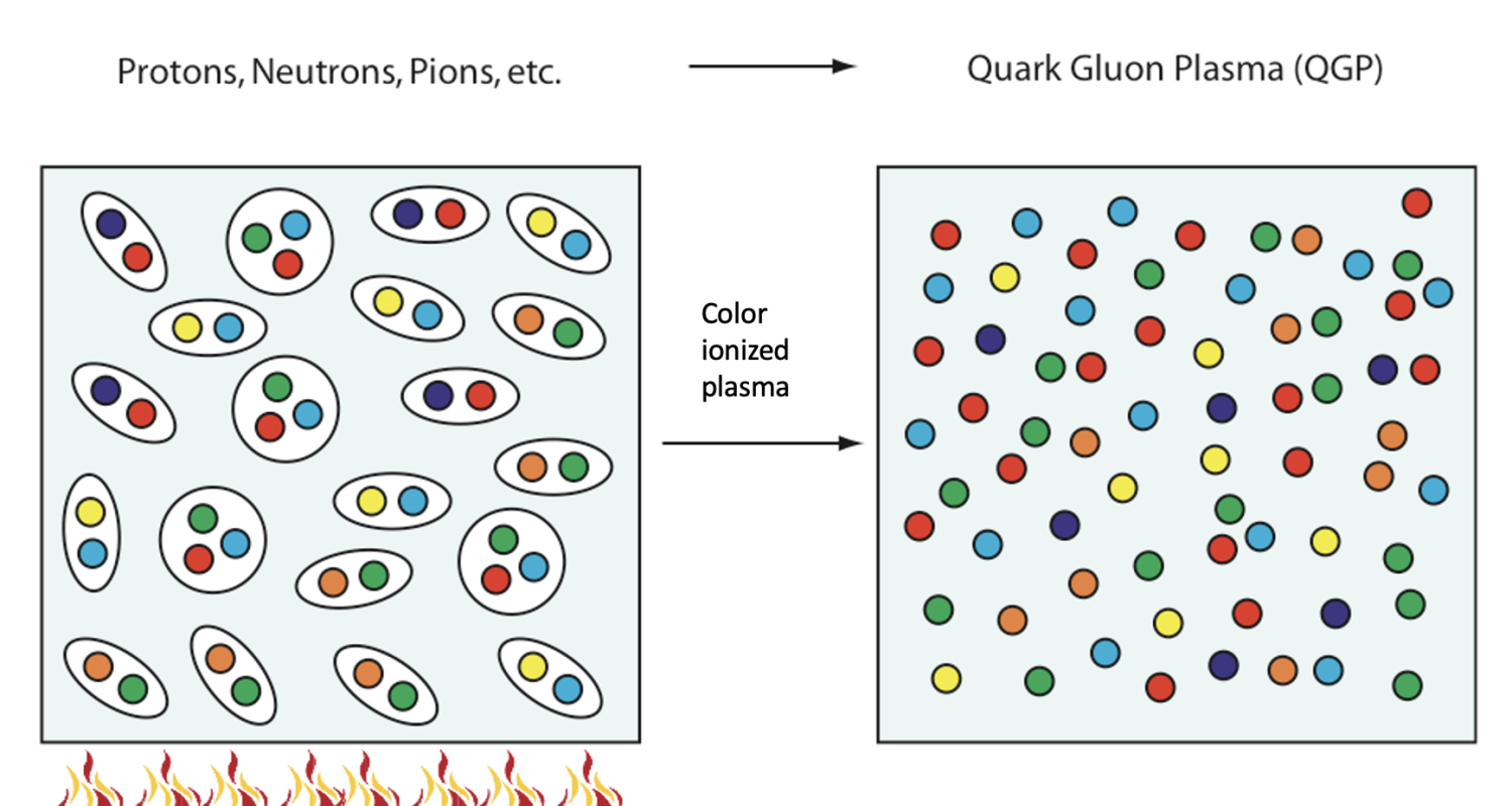 quark gluon plasma phase