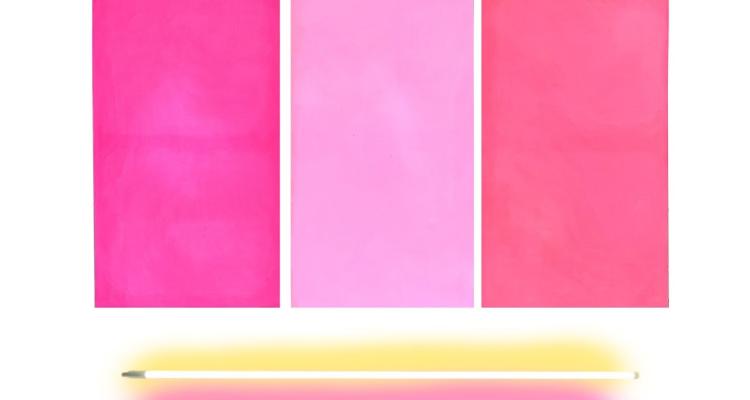 A vibrant painting with textured pink rectangles and two bars of neon lights set below it. 