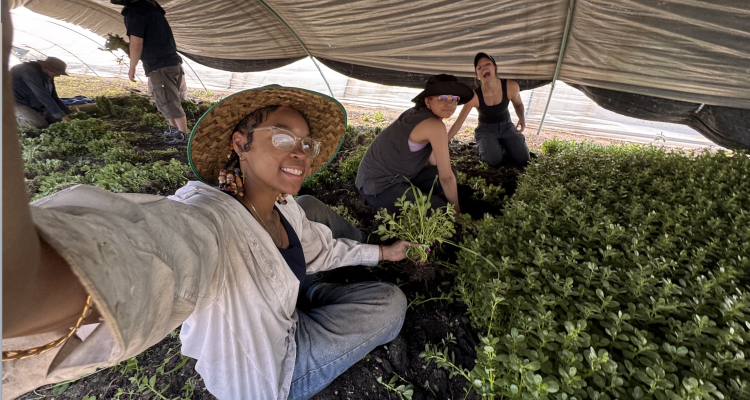 Dae'onii, another student, and her professor among the plants on a chinampa.