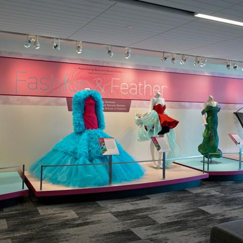 Fashion & Feather at Cleveland Museum of Natural History