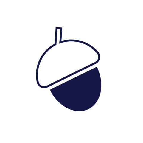 Cartoon acorn.