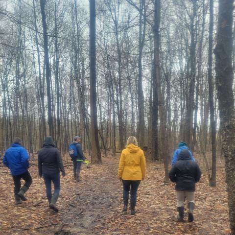 Maple Sugaring in the Woods