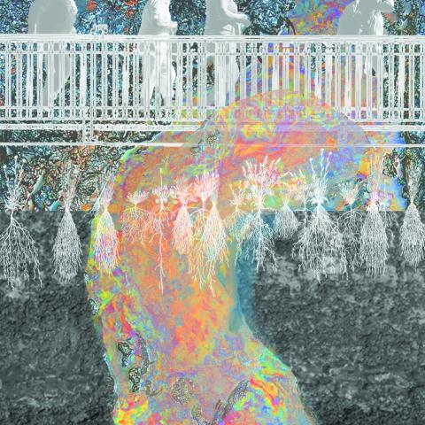 Riverfront Stitch project remediation collage