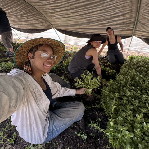 Dae'onii, another student, and her professor among the plants on a chinampa.